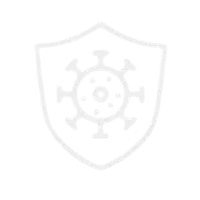 Antiviral Activity (HPV16: 96.92%)