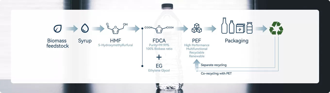 From Biomass to Packaging: A Circular Future