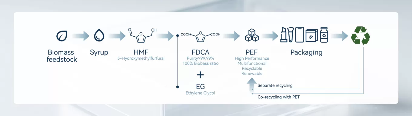 From Biomass to Packaging: A Circular Future