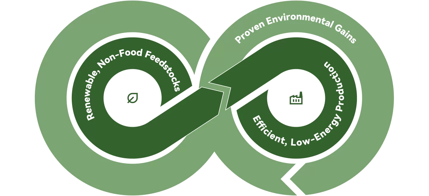 HMF: A Sustainable Choice for a Greener Future